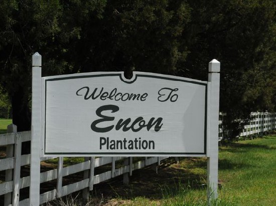 01 Welcome To Plantation