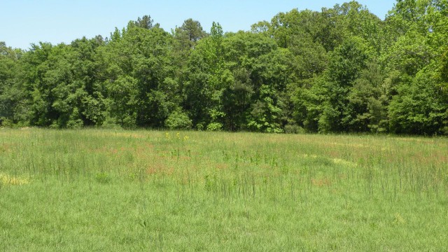 2007-12-31 23.00.00-7